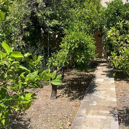 Apartman Lula Komiza